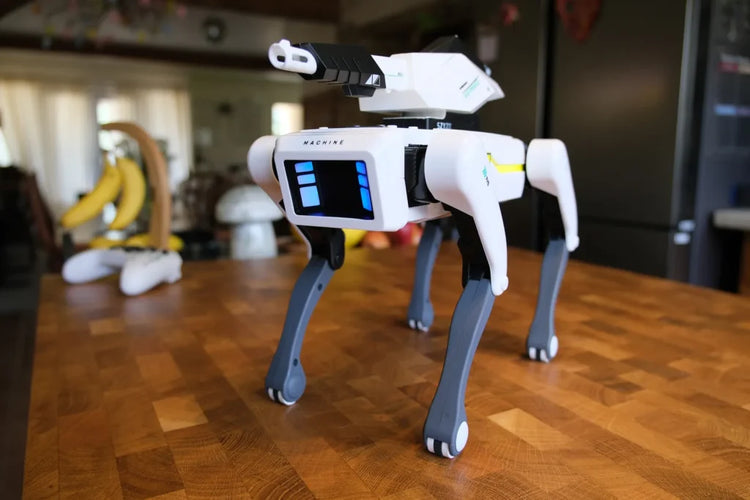 Kiyame™ Intelligent Robot Dog